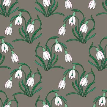 Delicate white snowdrops Stock Illustration