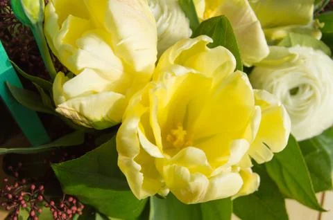 Delicate white tulips and eustoma close-up, top view Stock Photos