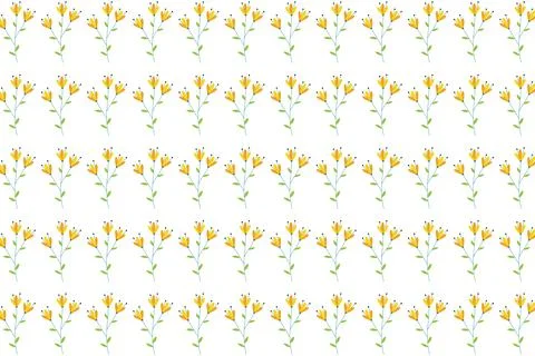 Delicate yellow flower pattern on white background springtime floral design Stock Illustration