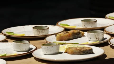 Delicates meal with fish 2 Stock Footage 312929184