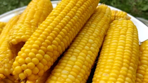 Delicious and appetizing boiled corn, natural, healthy, close-up Stock Footage 208937083