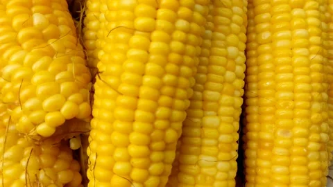 Delicious and appetizing boiled corn, natural, healthy, close-up Stock Footage 208937109