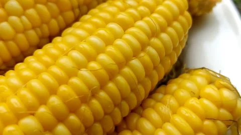 Delicious and appetizing boiled corn, natural, healthy, close-up Stock Footage 208937128