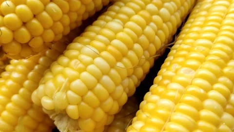 Delicious and appetizing boiled corn, natural, healthy, close-up Stock-Footage 209664504