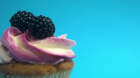 A delicious and appetizing capkake rotates with two blackberries on a blue Stock Footage 92684128