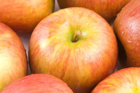 Delicious apple fruit 스톡 사진