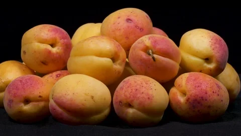Delicious Apricots 스톡 동영상 332707329