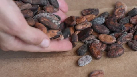 Delicious aromatic brown roasted cocoa beans on a white table Stock Footage 99625377