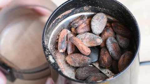 Delicious aromatic roasted cocoa beans are ground in a coffee grinder at home Stock Footage 94251780