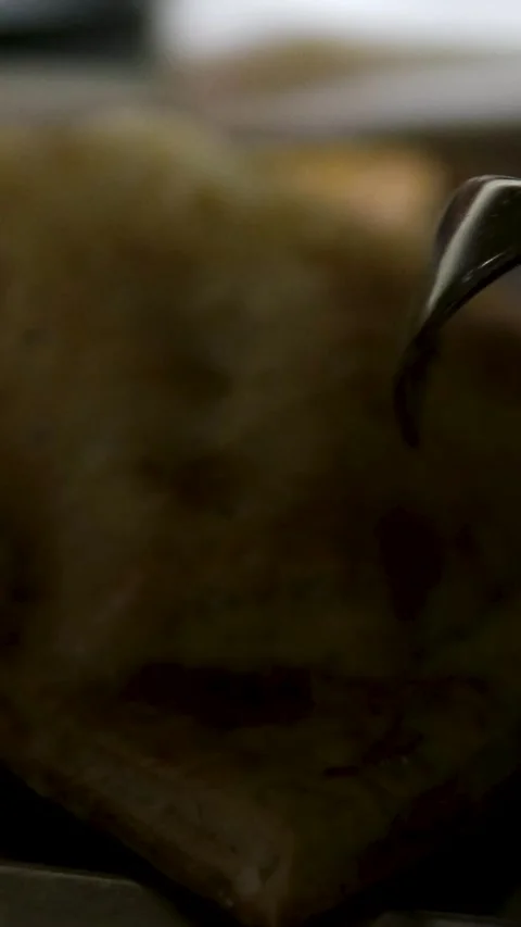 Delicious baked white fish wrapped in golden pastry crust being cut open with Stock Footage 323924255