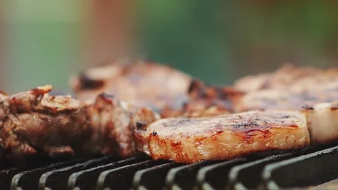 Delicious barbeque meat pieces Video stock 159328474