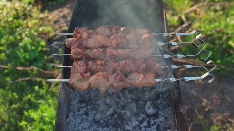 Delicious bbq kebab grilling on open grill on a summer day Stock Footage 245508338