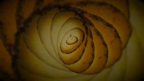 Delicious Biscuits Seamlessly Spinning Infinitly Video stock 71814858