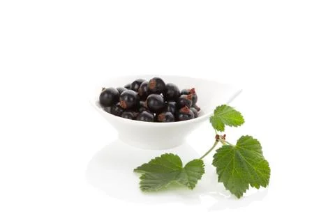 Delicious black currant. Stock Photos