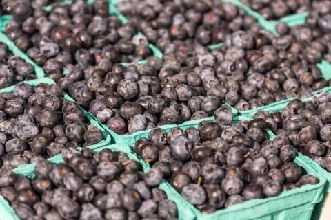 Delicious blueberries Stock Photos