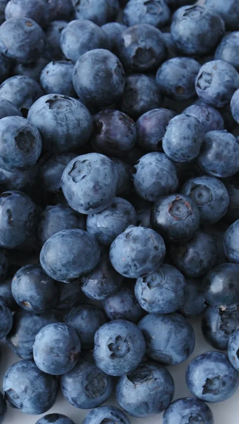 Delicious blueberries rotating close-up. Fresh berry, food background Stock-Footage 340410183