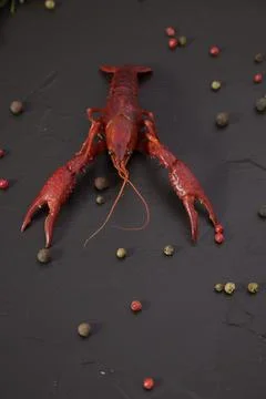 Delicious boiled crayfish close-up, with pepper, lemon and parsley.  Stock Photos