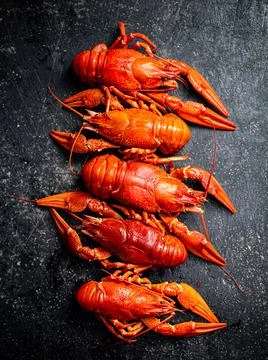 Delicious boiled crayfish on the table. Stock Photos