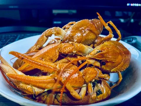 Delicious boiled cryfish Stock Photos