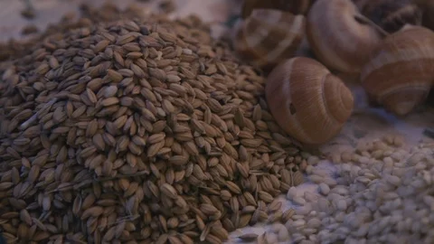 Delicious buffet table Stock Footage 87749790