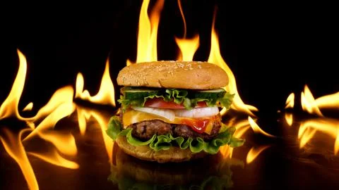 Delicious burger on the background of fire Stock Photos
