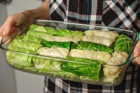 Delicious cabbage rolls ready to be baked for a family feast 库存照片