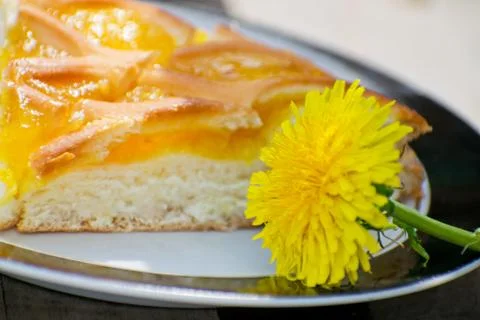 Delicious cake with apricot jam on a plate. Crostata with marmalade or peach Stock Photos