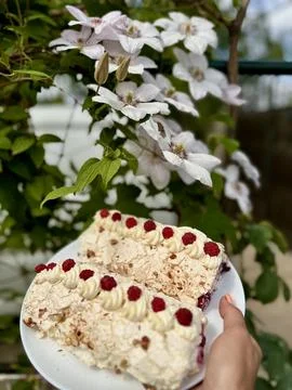Delicious cake Stock Photos