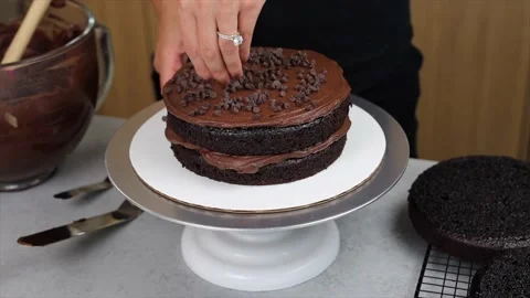 Delicious Cake Recipe Stock Footage 219522011