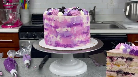 Delicious Cake Recipe Stock Footage 219522085