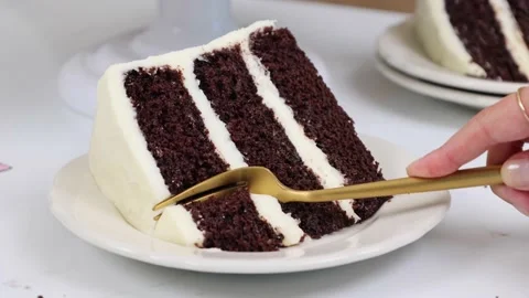Delicious Cake Recipe Stock Footage 219522205