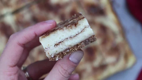 Delicious Cake Recipe Stock Footage 219522223