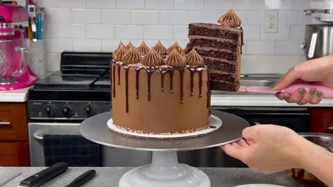 Delicious Cake Recipe Stock Footage 219522334