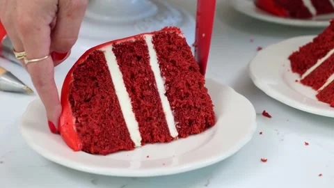 Delicious Cake Recipe Stock Footage 219522679