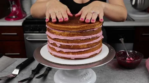 Delicious Cake Recipe Stock Footage 219522809