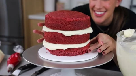 Delicious Cake Recipe Stock Footage 219534291