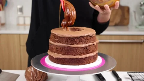 Delicious Cake Recipe Stock Footage 219534745