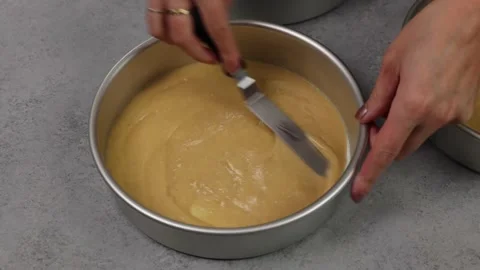 Delicious Cake Recipe Stock Footage 219534955