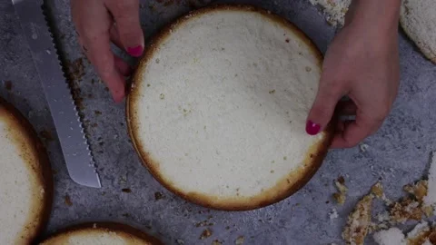 Delicious Cake Recipe Stock Footage 219535420