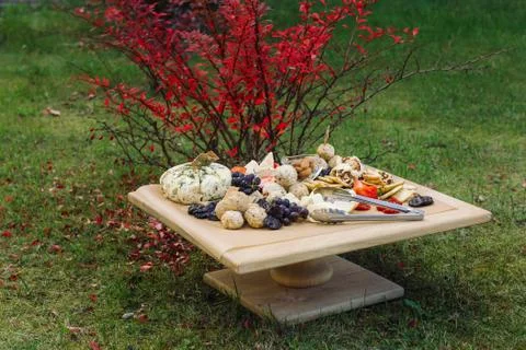 Delicious cheese on the table. Stock Photos
