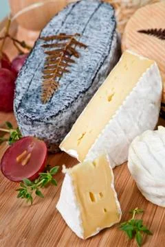 Delicious cheese variation. Stock Photos