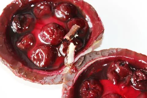 Delicious cherry curd cake Stock Photos