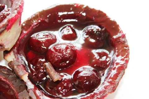 Delicious cherry curd cake Stock Photos