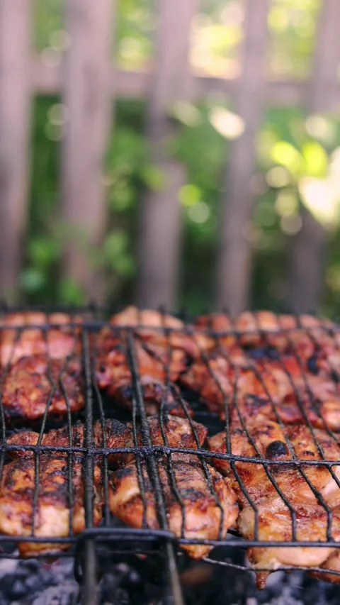 Delicious chicken pieces grilling on an outdoor barbecue grill with smoke rising Stock Footage 340263967