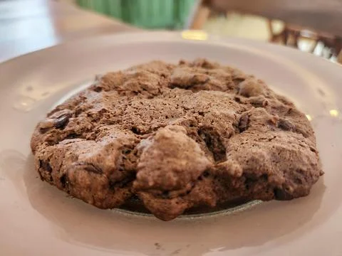 Delicious Chocolate Cookie Stock Photos