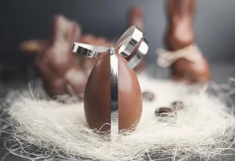Delicious chocolate Easter egg with a ribbon Stock Photos