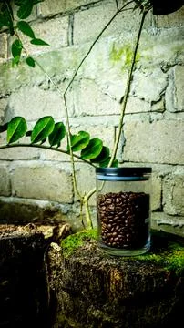 Delicious coffee beans in a jar Stock Photos