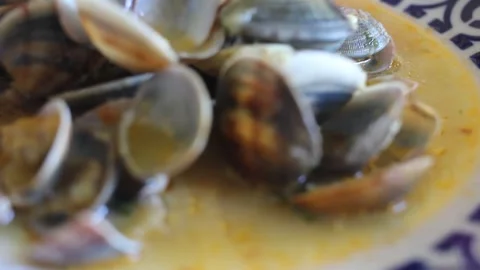 Delicious cooked clams in sauce on a patterned ceramic plate Video stock 346855696