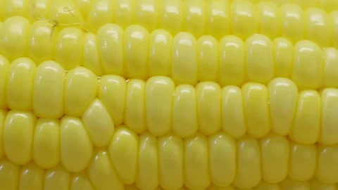 Delicious corn on the cob, close up, motorized slider. Stock Footage 92241311