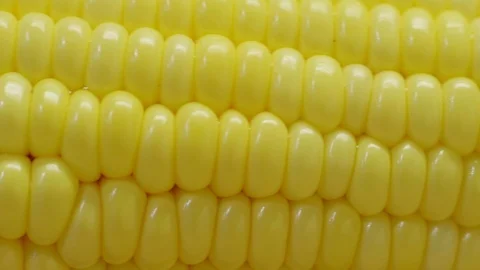 Delicious corn on the cob, extreme close up, motorized slider. Stock Footage 92241709